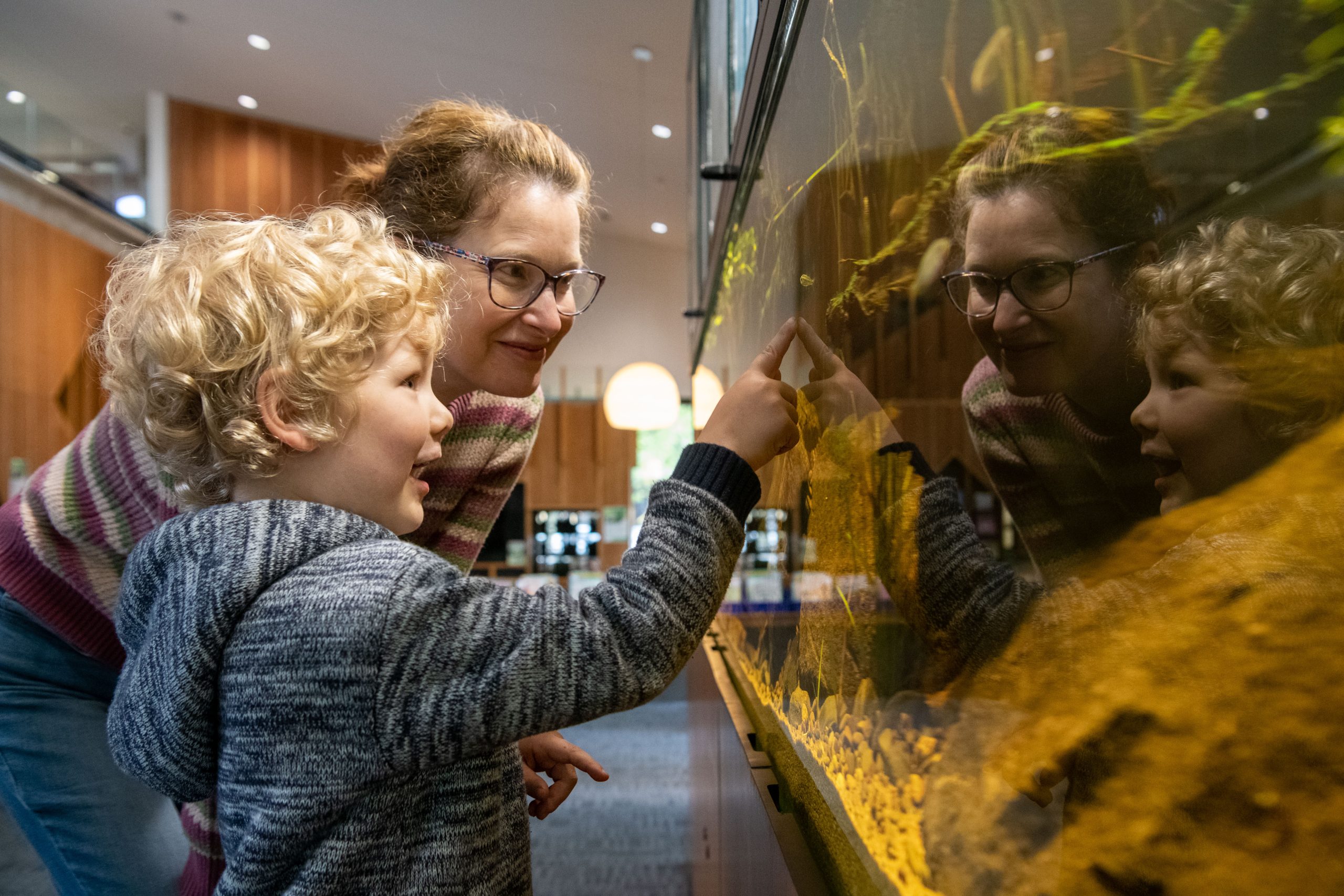 Mother and son looking at the Bendigo Library aquarium.