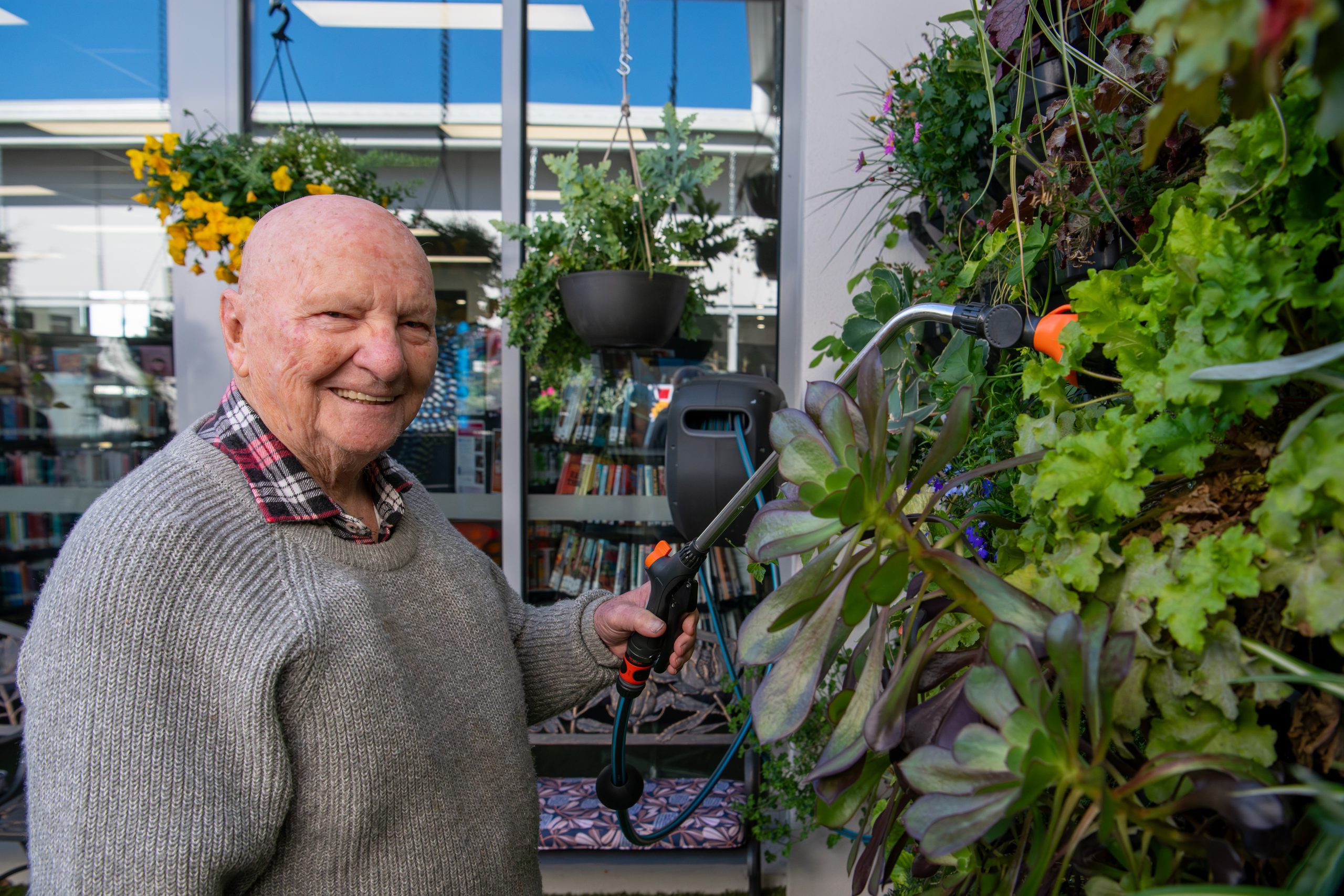 A senior man smiles at the camera while he waters the vertical garden in Kangaroo Flat Library's atrium.