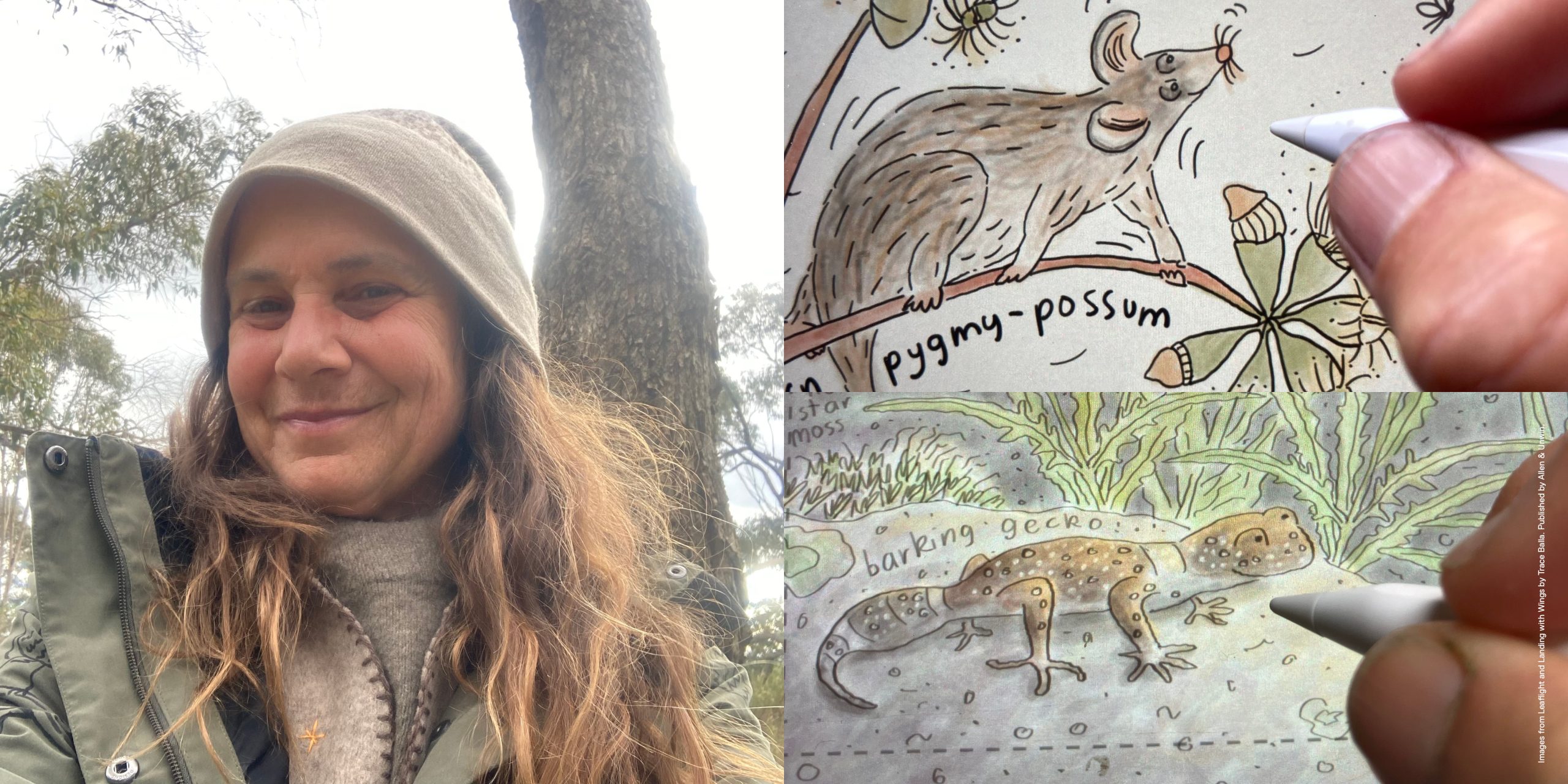 Illustrator Trace Balla beside her artwork: a pygmy possum and barking gecko